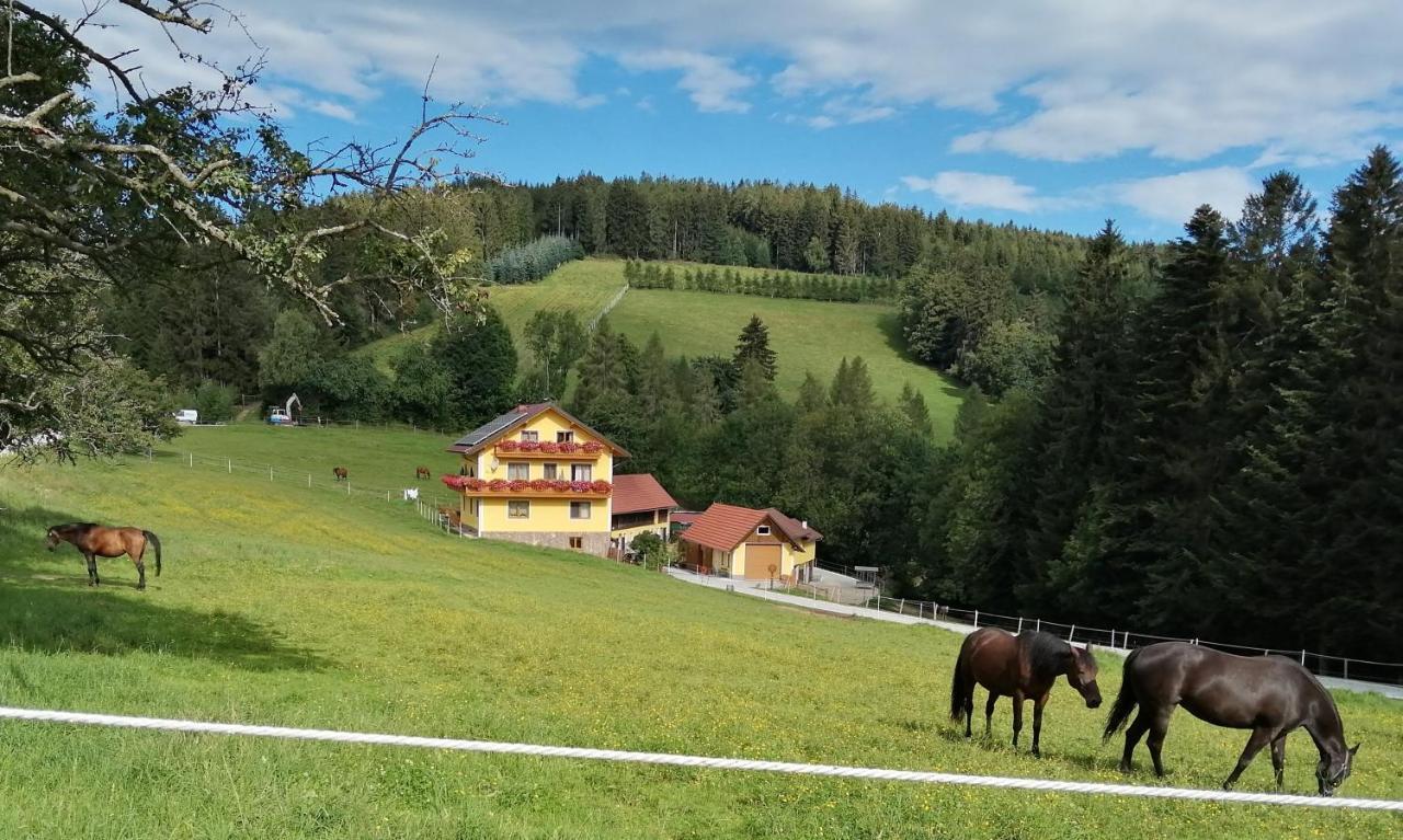 Villa Urlaub Am Bauernhof Familie Kitting Vorau Exterior foto