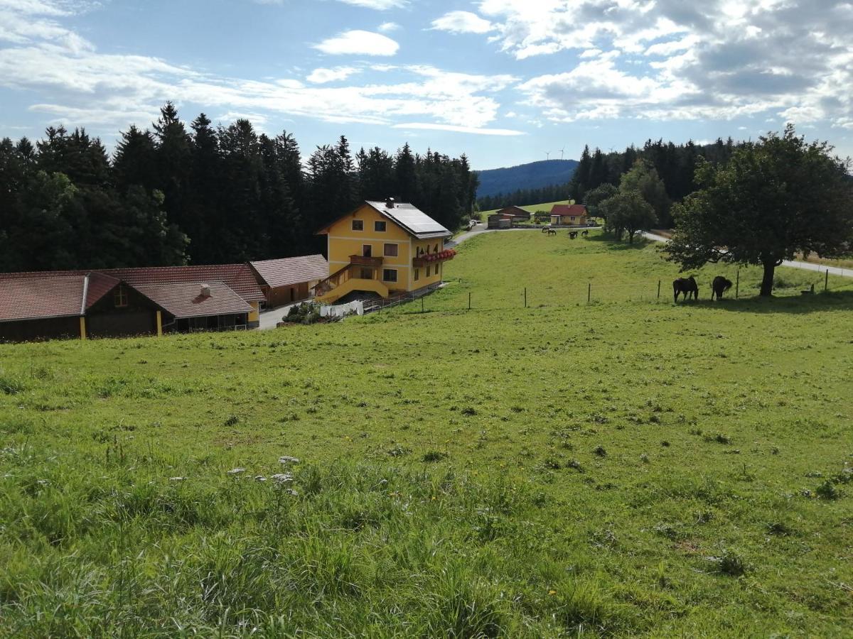 Villa Urlaub Am Bauernhof Familie Kitting Vorau Exterior foto