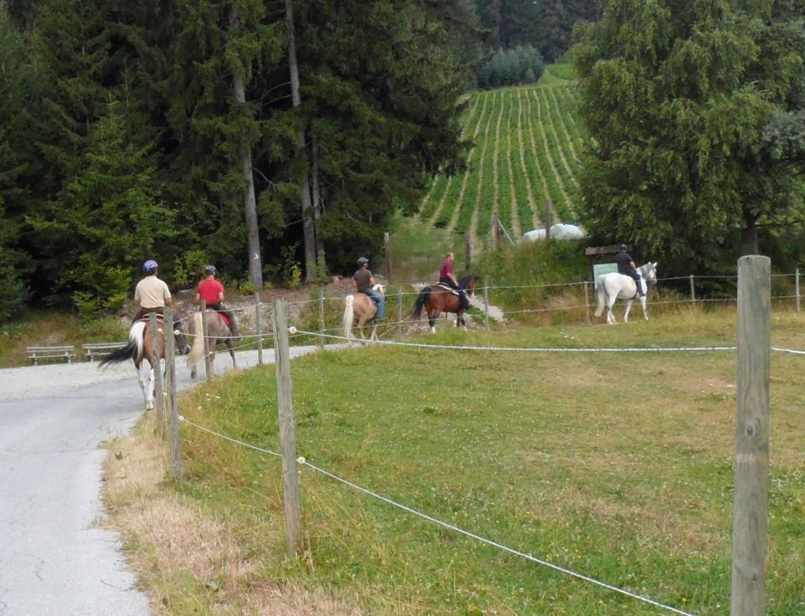 Villa Urlaub Am Bauernhof Familie Kitting Vorau Exterior foto